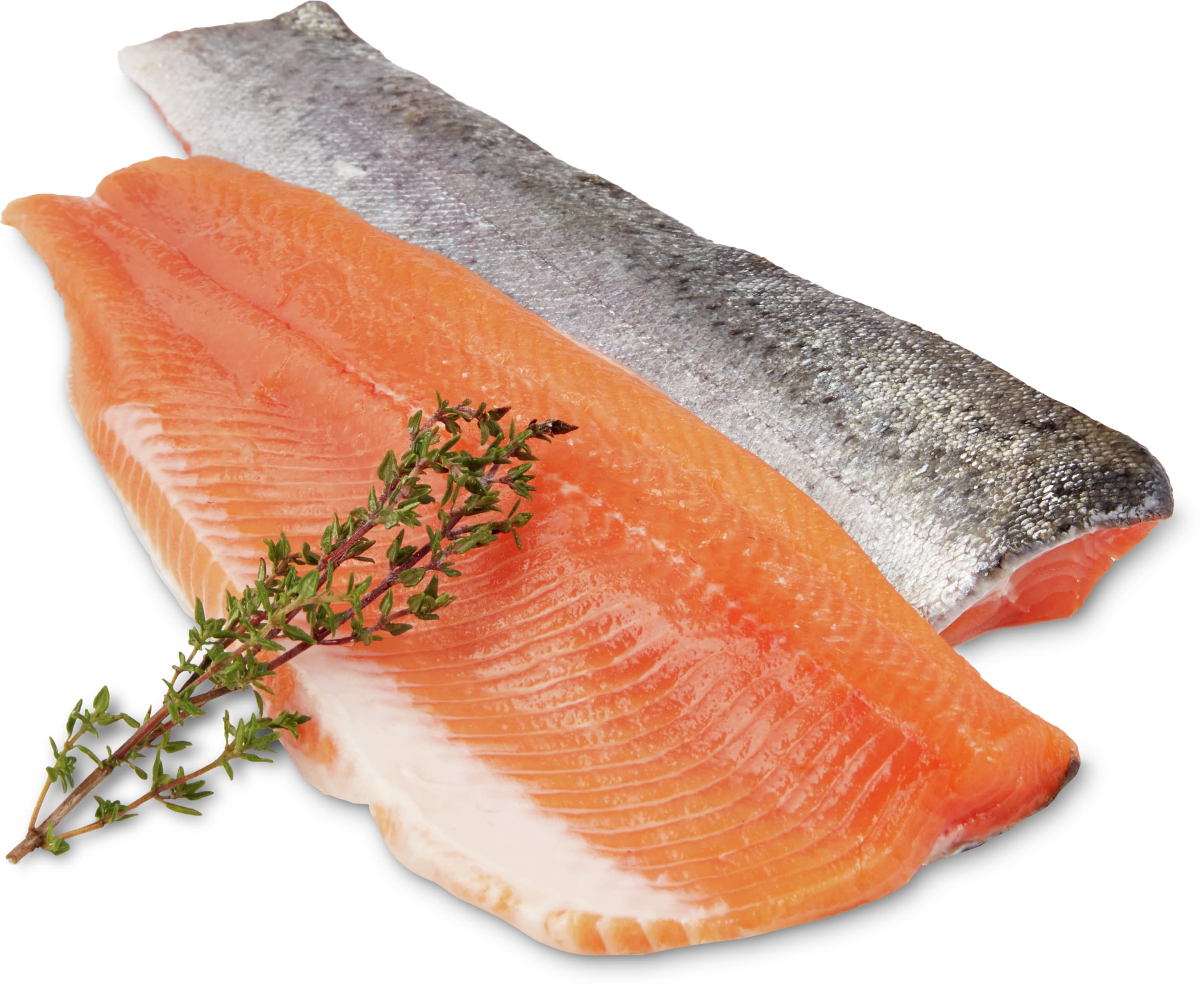 Filetto di trota salmonata